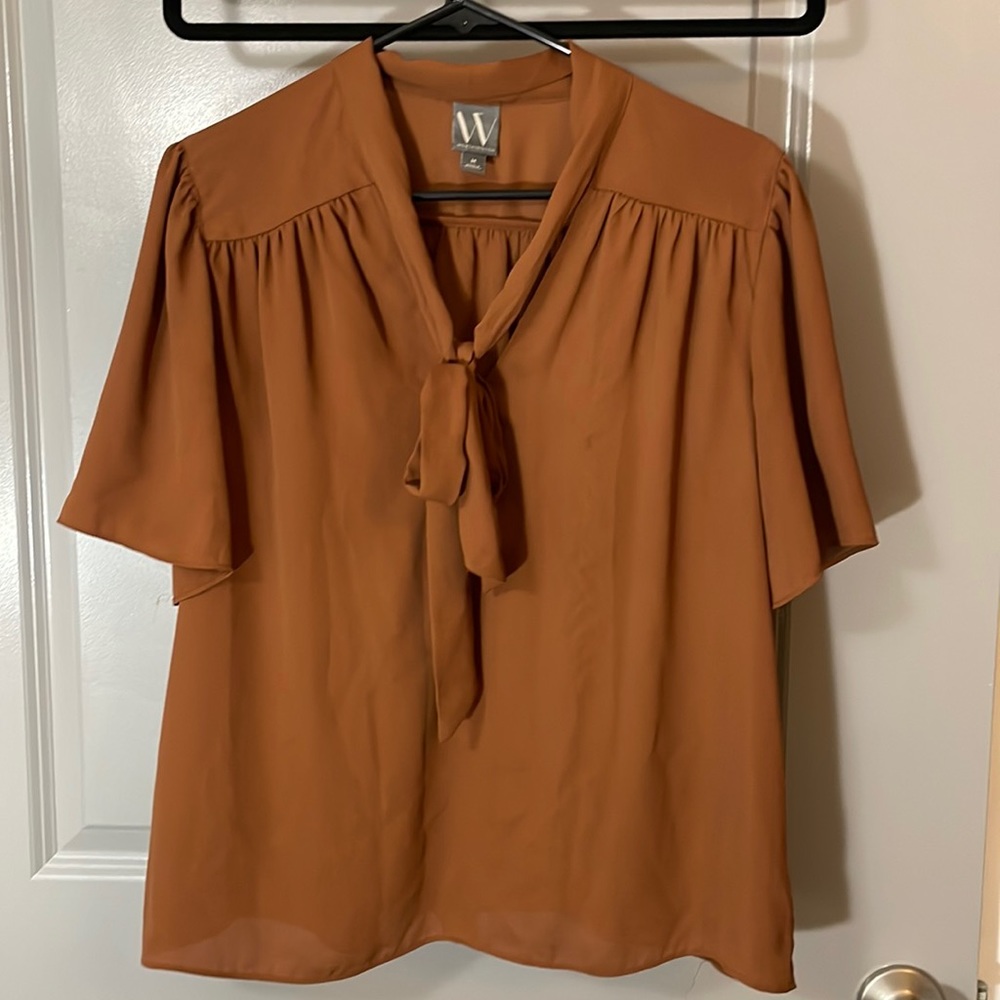 Chocolate brown blouse with neck tie